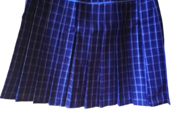 Senior Skirt